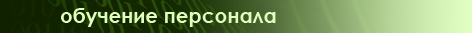 Обучение персонала