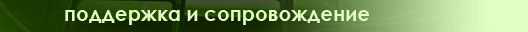 Поддержка и сопровождение